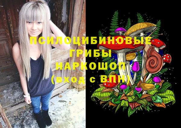 крисы Новодвинск