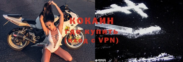 МДПВ Новозыбков