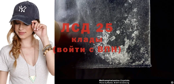 крисы Новодвинск