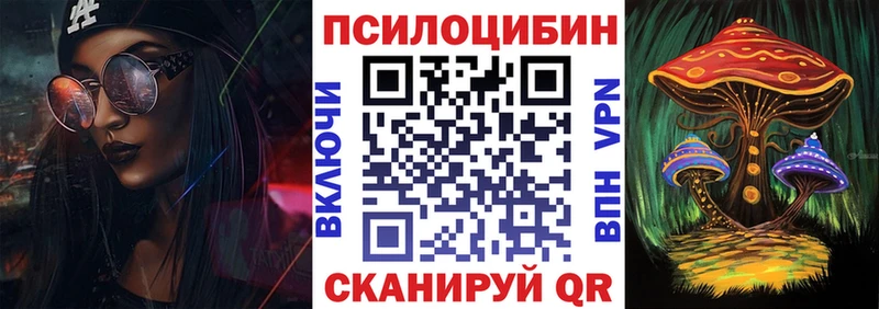 купить наркоту  Кудрово  Галлюциногенные грибы Cubensis 