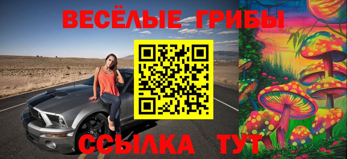 Псилоцибиновые грибы Magic Shrooms  Вход с VPN  где купить наркоту  Кудрово 