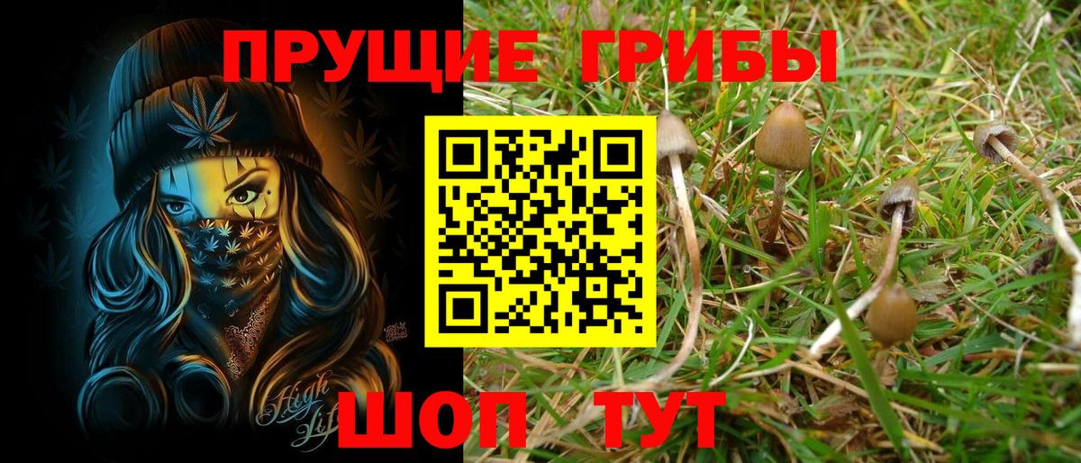 Галлюциногенные грибы Magic Shrooms Кудрово